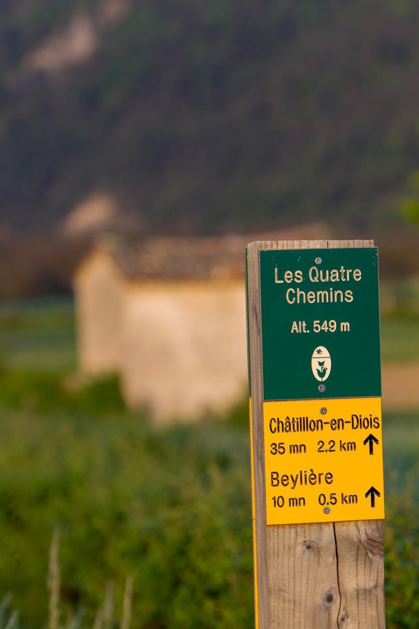 Le Dauphine Hotel Châtillon-en-Diois Екстериор снимка