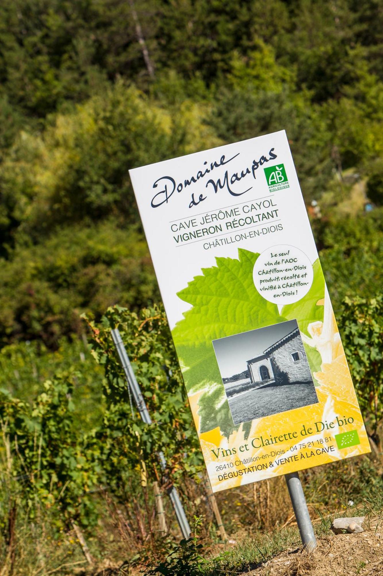 Le Dauphine Hotel Châtillon-en-Diois Екстериор снимка